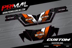 PRIMAL-X-MOTORSPORTS-BINTELLI-CUSTOM-GOLF-CART-HARLEY-01